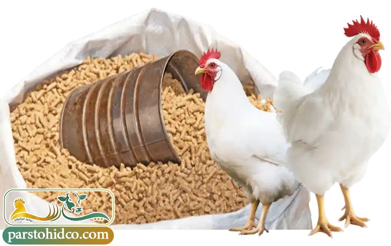 قیمت مکمل طیور 